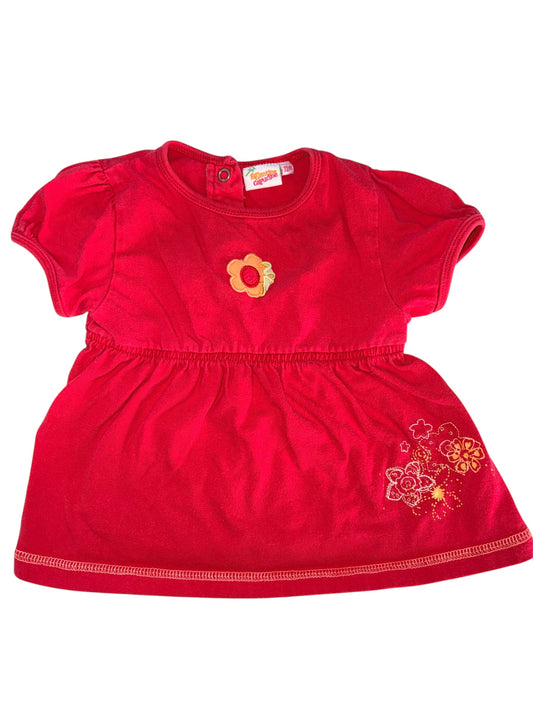 Églantine capucine 12 mois